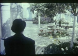 unrestored image of the garden